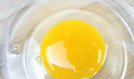 鸡蛋羹的做法视频教程,轻松掌握家常美味